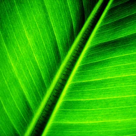 bild #dp004