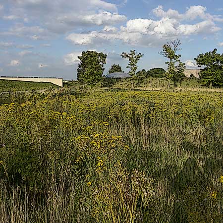 Landschaft