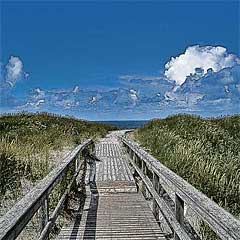 Sylt