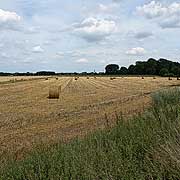 #tw008 Niederrhein
