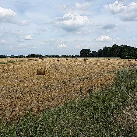 Bild #tw008 Niederrhein